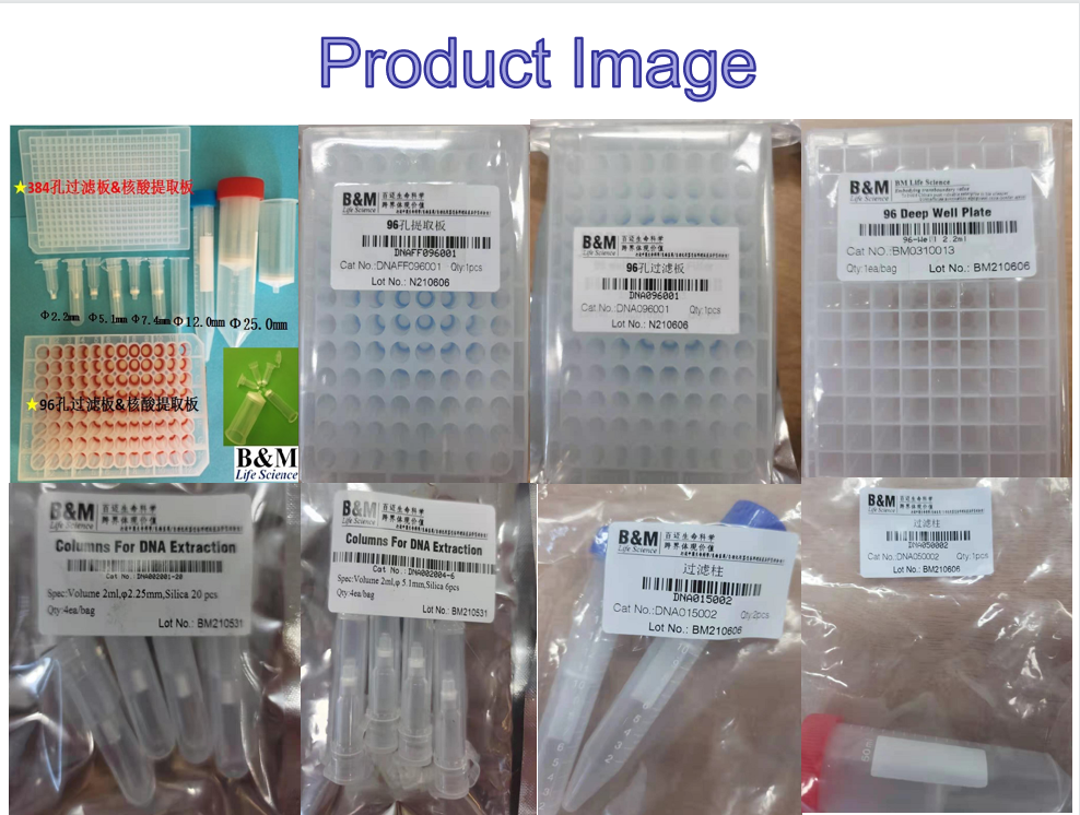 25ml Large Amount of Nucleic Acid Extraction Column/spin Column (50ml Spin Column) Can Be Inserted Into a 50ml Centrifuge Tube