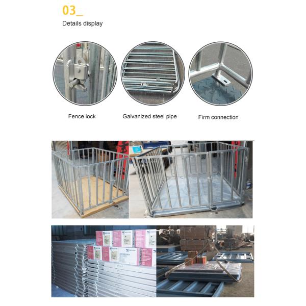 Pig Goat Cow Cattle Weighing Scales , Sheep Weighing Scales Electronic Digital