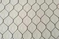 Lightweight 7*7 Stainless Steel Aviary Mesh Aviary Netting For Parrots