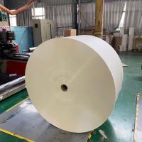 O papel revestido plástico Flexographic rola a matéria prima do copo de papel de 160 gramas