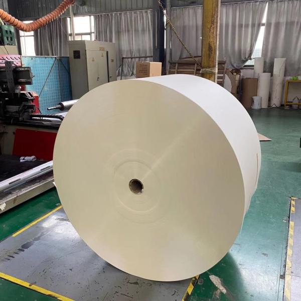 Placa de papel do copo do papel de embalagem da matéria prima 300gsm do copo de chá do OEM