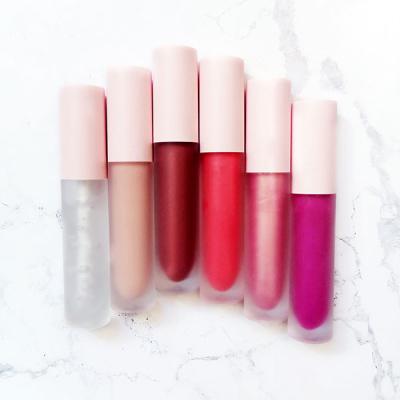 Easy Coloring Private Label Makeup Vegan Liquid Lipstick