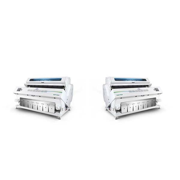 Automatic Color Sorter Machine For Groundnuts / Walnuts / Almonds Sorting