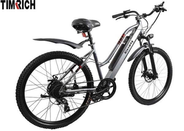 TM-KV-2660   Electric Mileage 31KM Electric Battery Powered Bike 26 Inch With Front / Rear Fenders