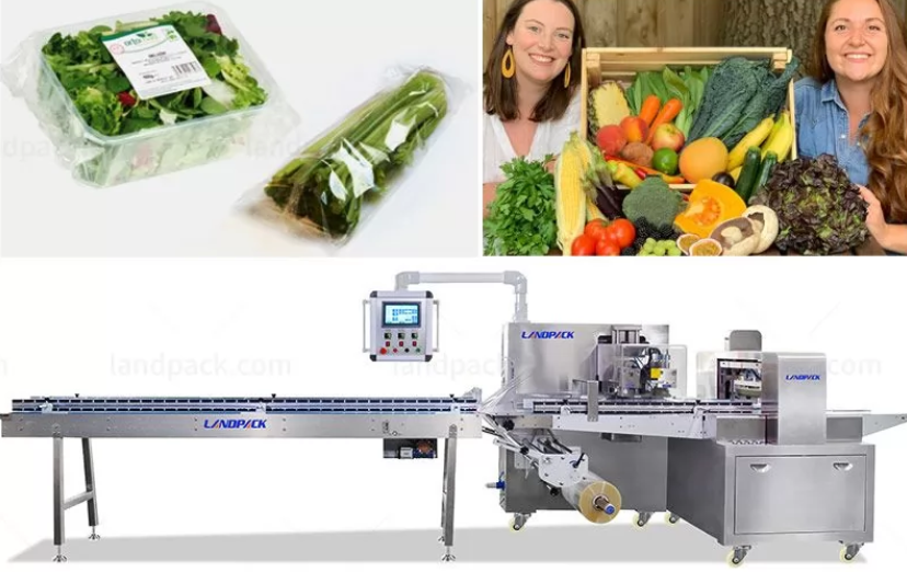 Grilled Skewers Automatic Flow Packing Machine Flow Wrap Horizontal Machine Featuring Bag Width 120/450mm Ideal For bread flow packing machine