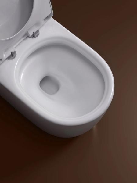 One Piece Dual Flush Toilet with Siphonic Flush Thin Rim One Piece Toilet for Top Mount or Under mount Installation