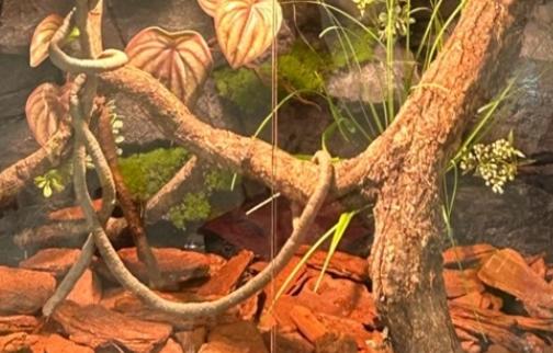 Lizard Tank Background Modular Configurations​​ Habitat Solutions Model SL-M27A