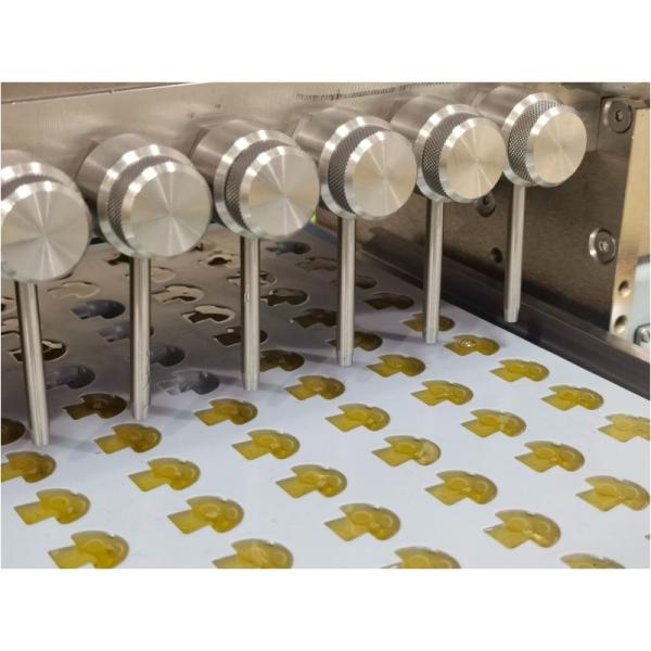 Effortless Mini Gummy Candy Vitamin Nutrition Candy Depositor Jelly Candy Making Machine For Lab