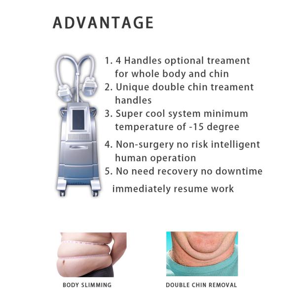 Professional cryo fat beauty machine fatest slimming weight loss cryo equipment LF-207B