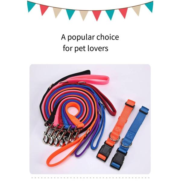 Pet Adjustable Leash And Diving Nylon Collar Anti-Escape Dog Walking Set