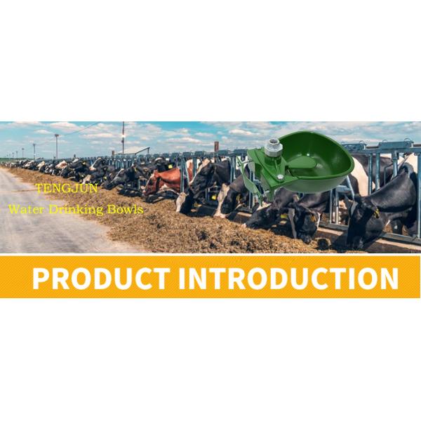 TJ-106 Weight 5.09kg Water Capacity 2.5liter Cast Iron Green Drinking Bowls