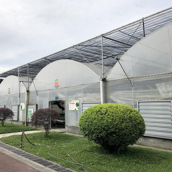Steel Tructure Large Tunnel Custom Multi-span Plastic Blueberry Growing Greenhouses for Stable Structure