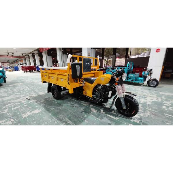 151 200cc Displacement 3 Wheel Gasoline Engine Motorized Petrol Cargo Tricycles for Adults