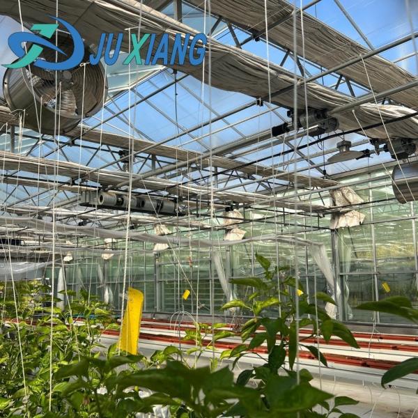 Affordable Commercial Greenhouse for Vegetables or Flowers Samples US 20/Square Meter