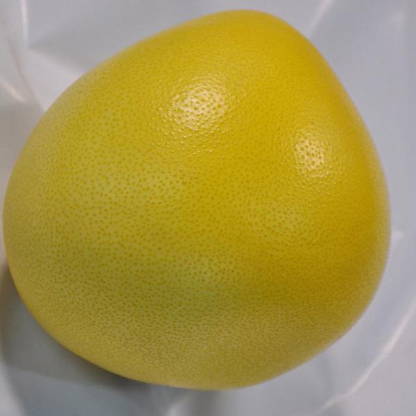 Global GAP Certified Fresh Pomelo Citrus Fruits For Supermarkets