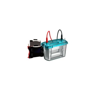 Western blot transfer cell