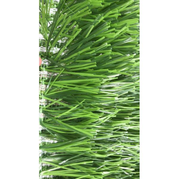 スタジアム サッカー フィールド 天然 草 と 耐久 性 を 備えた 織り た 芝生