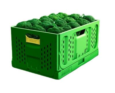 Logotipo personalizado Caixa de armazenamento de malha de plástico dobrável verde para vegetais e frutas