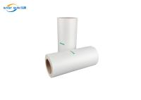 30 cm 60 cM Peeling à chaud Peeling à froid Film PET DTF Film de transfert PET Pour l'impression de T-shirts