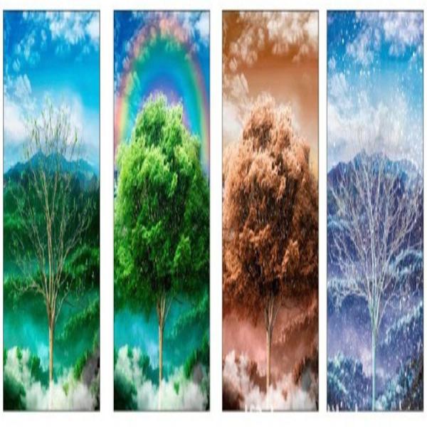 Promotional Pictures Designs 3D Lenticular Plastic pictures 3d lenticular animal poster PP PET 5d pictures