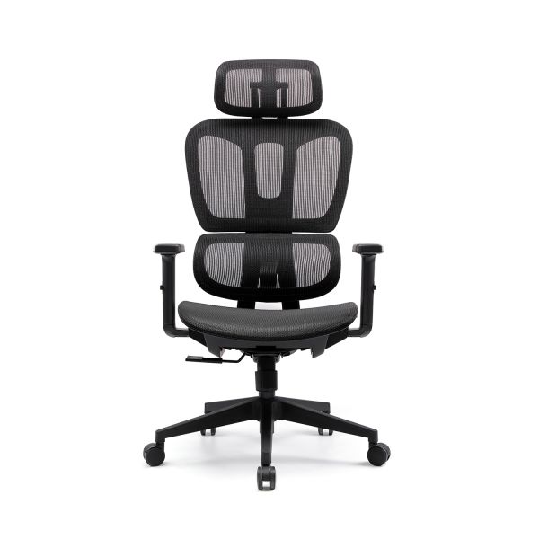 Ergonomic Office Executive Chair with Adjustable Lumbar Support Breathable Mesh Back and Comfortable Seat for Long Hours
