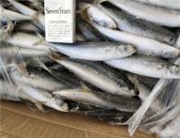 100% Net Weight 100-120g BQF Frozen Whole Sardines