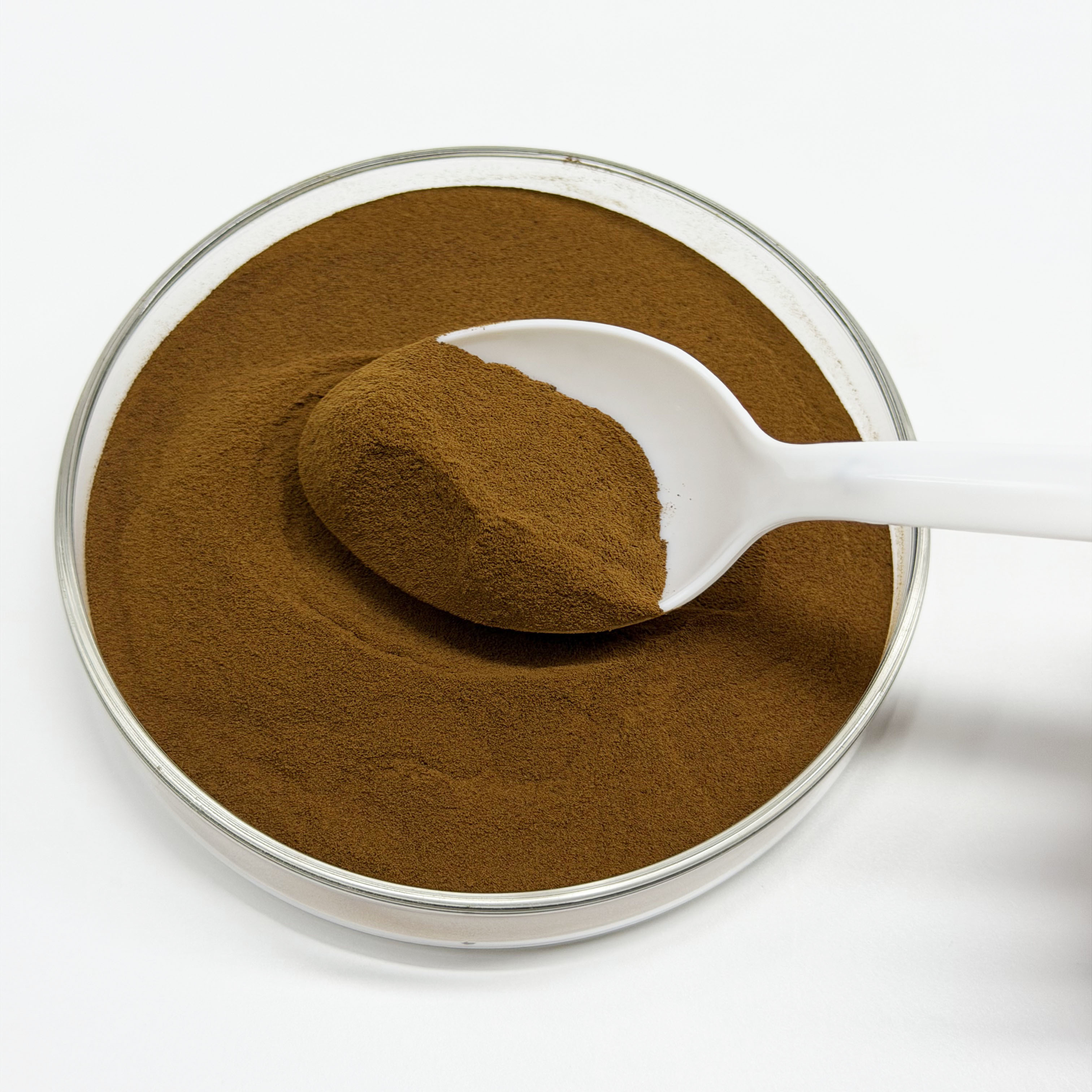 Biochemical Potassium Humate Powder – Water Soluble Humic Acid Fertilizer