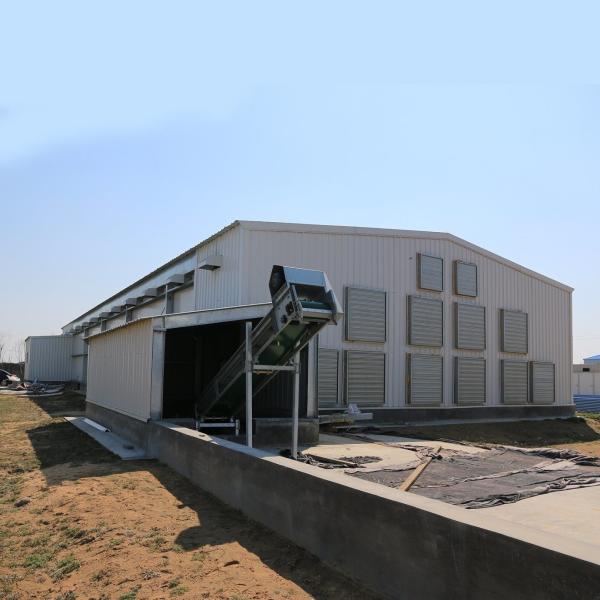 Estilo de design de armazém industrial Estrutura de aço pré-fabricada Abrigo de fazenda de frangos