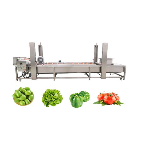 Sistema de filtragem de água para lavagem de frutas e vegetais Máquina de triagem de abacates