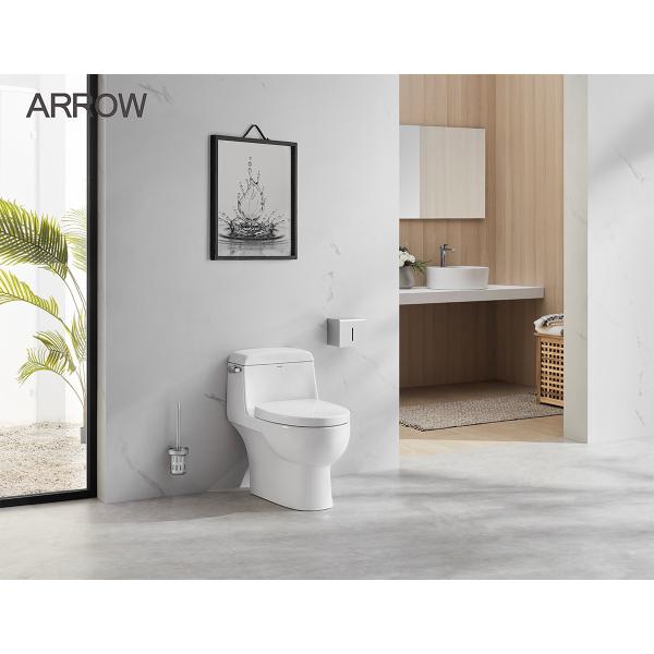 Санитарные изделия удваивают уборная 702×397×668mm притока для Bathroom