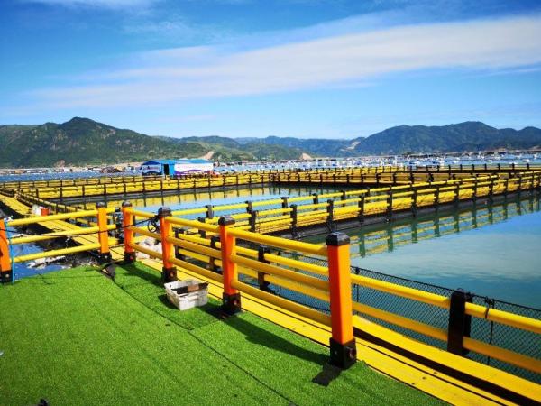 Black and Yellow HDPE Fishing Cage Floating for Farming Machinery Sell Well