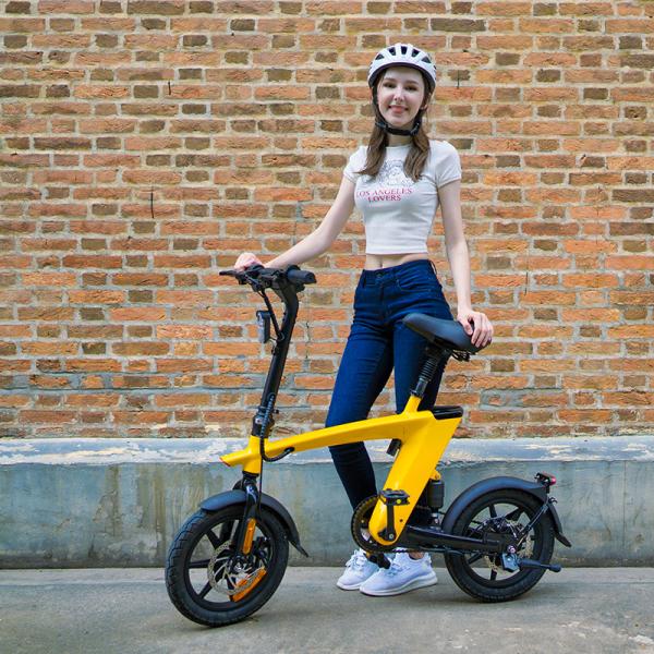 Adults 14 Inch Folding Electric Bike Brushless Motor Electric Bike With Two Wheel