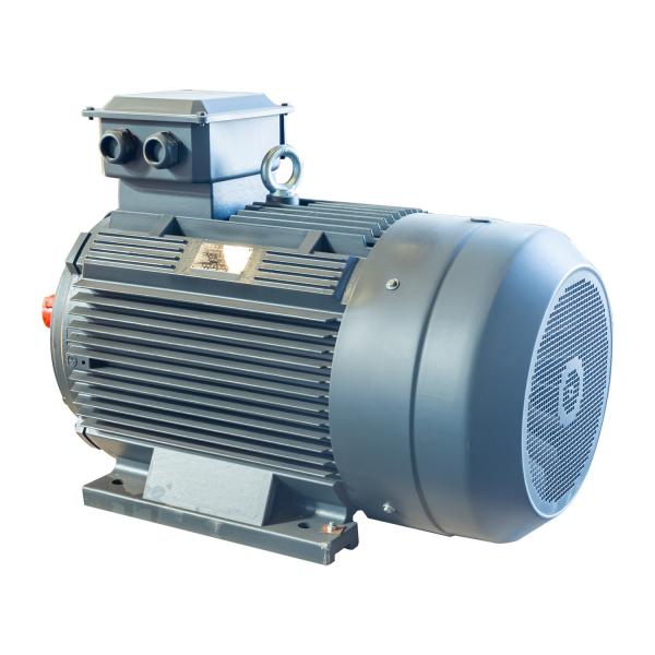 Eficiência elevada IP55 do motor elétrico de gaiola de esquilo do motor elétrico de YE3 160KW