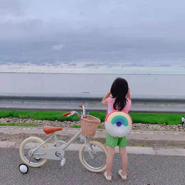 Alloy Rim INS Style 16 Inch Retro Children's Bicycle Single Speed for 4-8 Year Old Kids