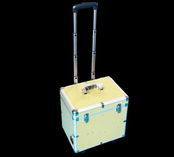 Wholesale Factory Veterinary Portable Dental Unit with Suction Air Compressor | Suitcase Mobile Pet Dental Treatment Box