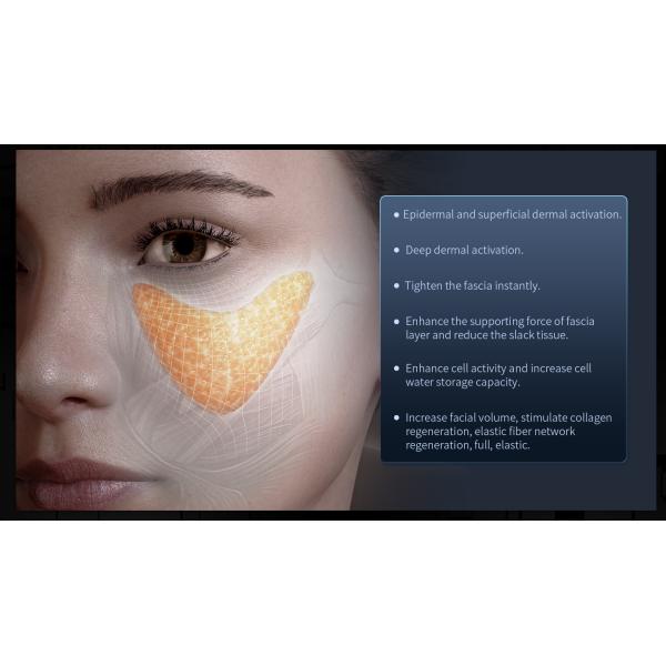 2 Handle Portable 11d Weight Loss Skin Tightenin Hifu Body Slimming Beauty Machine