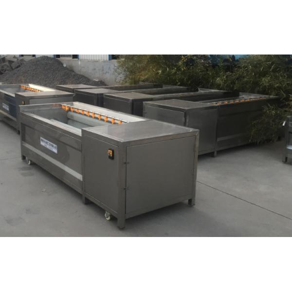 Food Industry Fruit Canning Equipment High Efficiency Peeling / Washing Machine