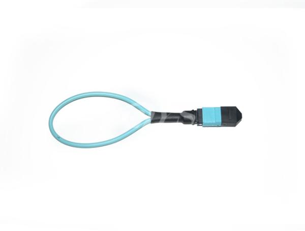 OM3 24 Fiber Optical Loopback MPO/MTP For Telecom / CATV Systems