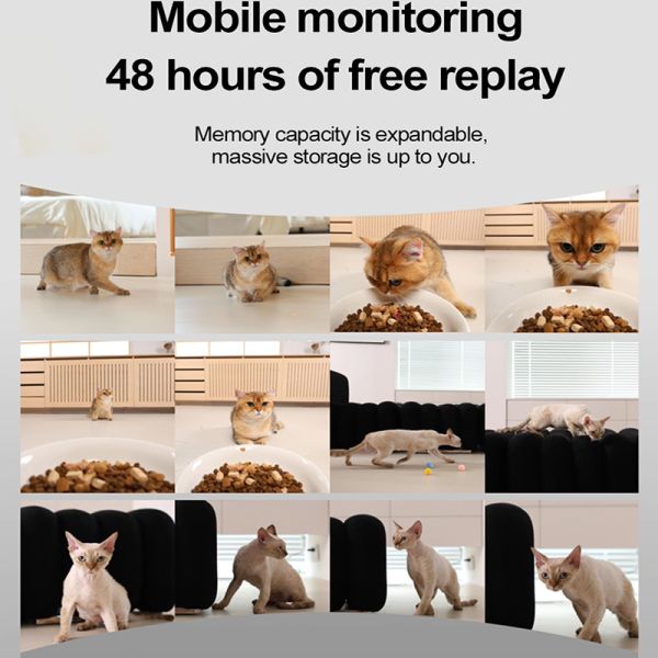 Wholesale Pet Products Smart Pet Feeder Double Bowls WiFi Automatic Food Dispenser App Control For Multi-Cat