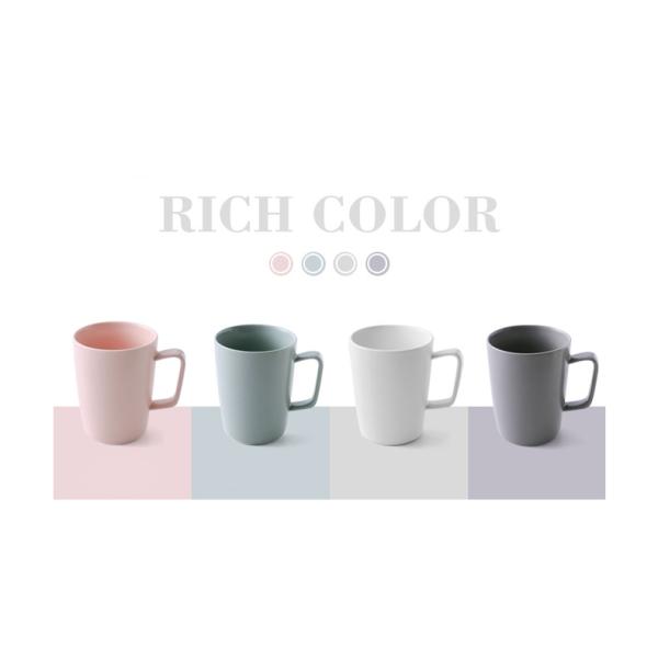Wide Rim Colored Porcelain Dinnerware
