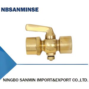 305-DN6 305-DN10 305-DN15 Double-tête de la prise de jauge de pression en cuivre avec une surface d'étanchéité en laiton