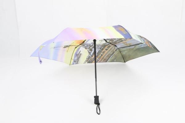 Compact Mini Auto Open Close Umbrella 6 Panels Wind Resistant Black Metal Pole