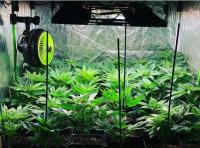 4x4 480W LED se développent légers