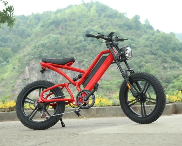 1000W 20 Inch Electric Fat Tire Bike 48V 16Ah Full Suspension Electric Bicycle