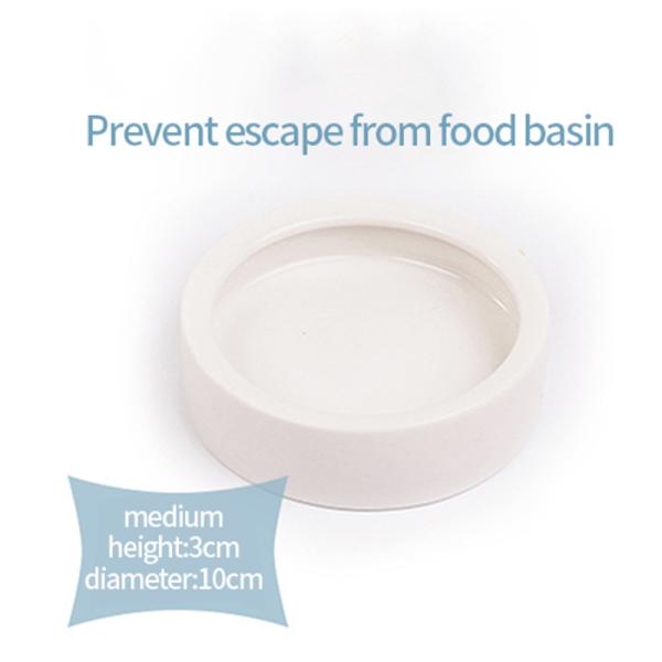 Cuenco para mascotas evita que los gusanos del pan escapen Lagarto Cerámica Plato de agua para alimentos Reptil