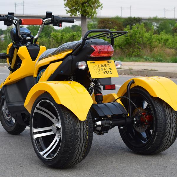 All Tube Type Controller Double Seat Adult Electric Tricycle for Elder/Three Fat Wheel Electric Bicycle