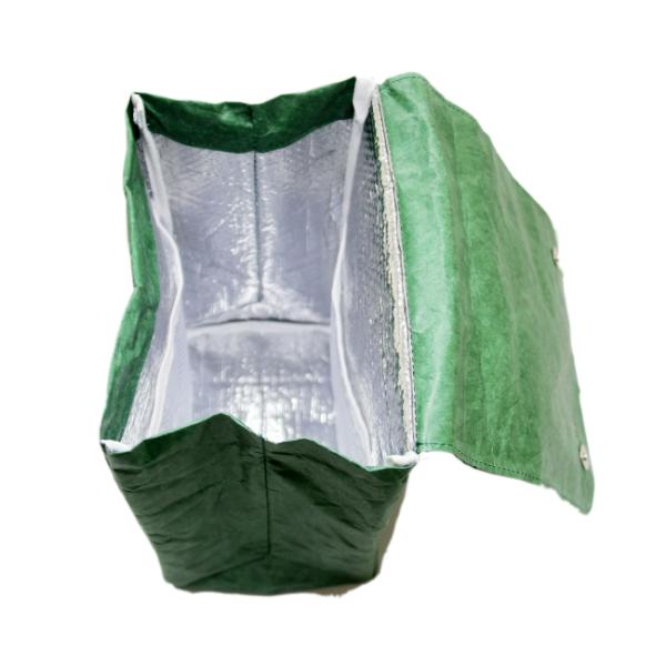 Eco-friendly Dupont Picnic Cooler Bag Waterproof Tyvek Paper Insulated Lunch Bag