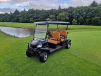 Carrinho de golfe de 4 lugares Com sistema de bateria de 48V Capacidade de carregamento rápido Potente motor AC