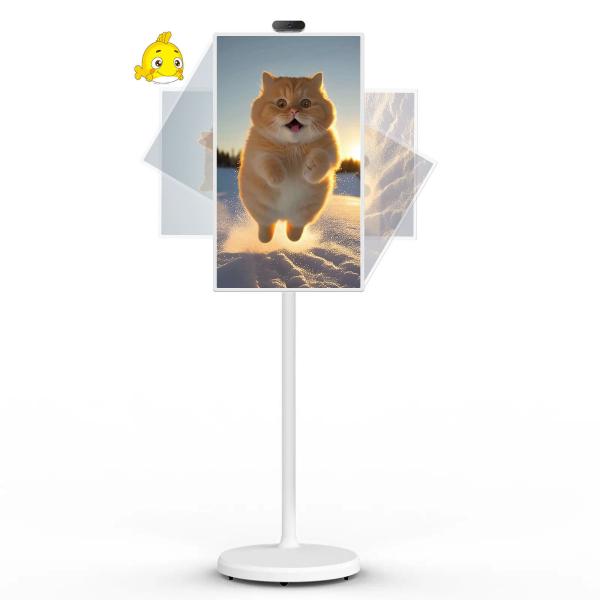 21インチ Android 12 システム スタンドバイミーテレビ スマート放送機 タッチスクリーン