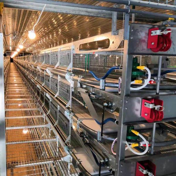 Клетки птицы для профессиональной & экономической продукции яйца